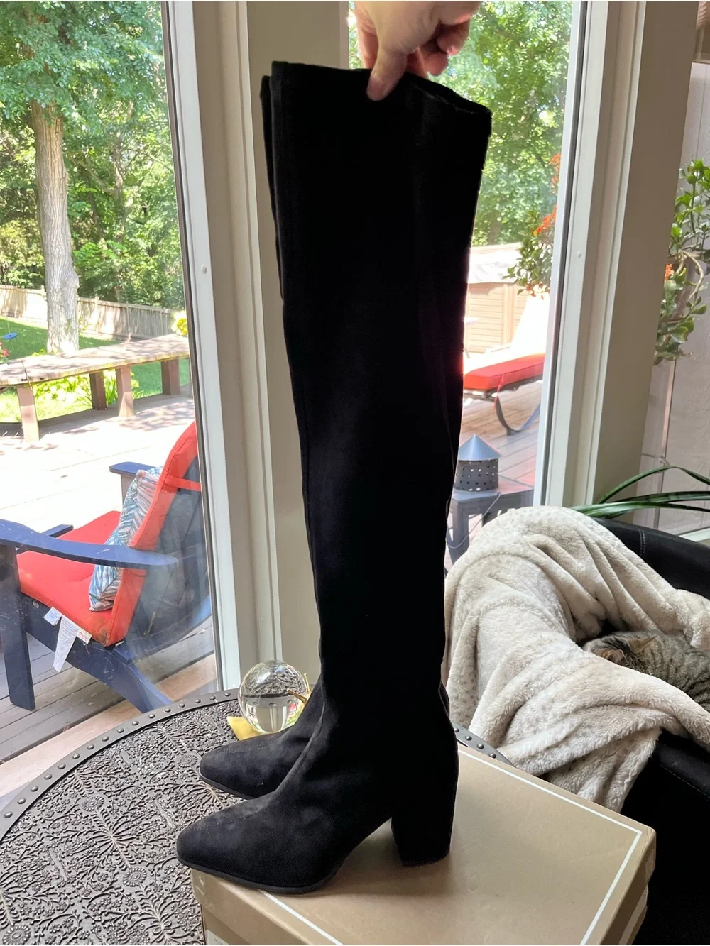 DOLCE VITA SELORA OVER THE KNEE MICRO SUEDE BOOTS IN BLACK 6.5